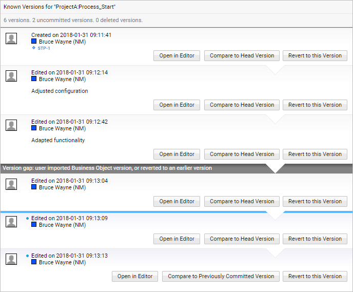 An example of the Version History of a Business Object