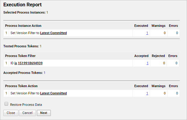 The Execution Report window shown as part of the Run Program wizard.