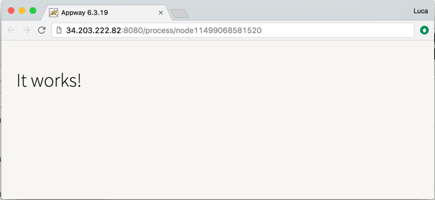 Appway's pithy confirmation message: it works