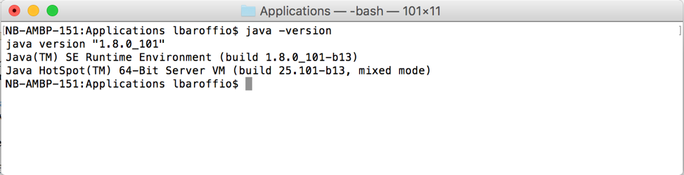 Figure 1 - Checking the version of Java